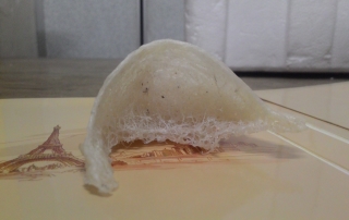 马来西亚特轻毛燕-3