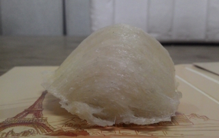 马来西亚特轻毛燕-2