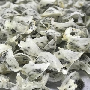 indo raw bird nest